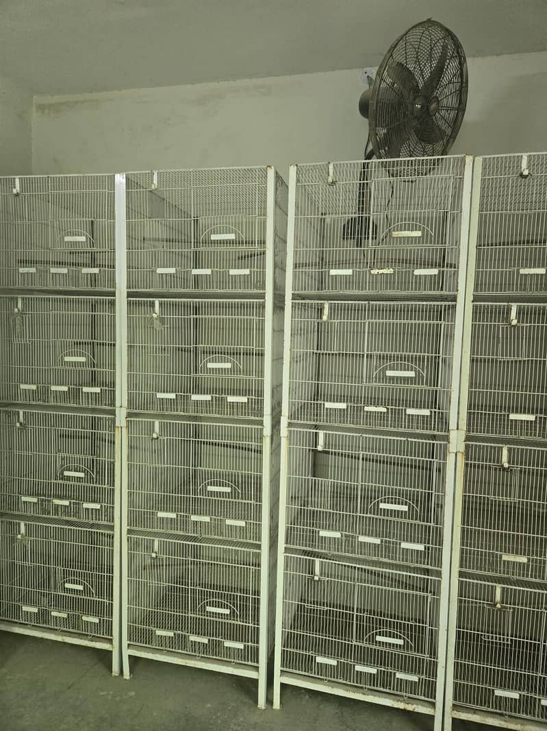 Cages 2