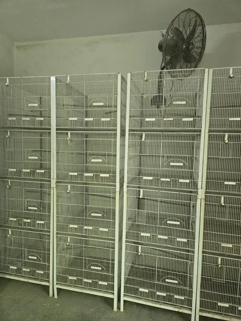 Cages — photo 3