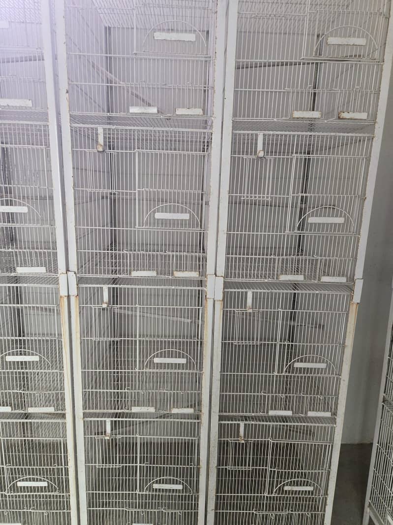 Cages 3
