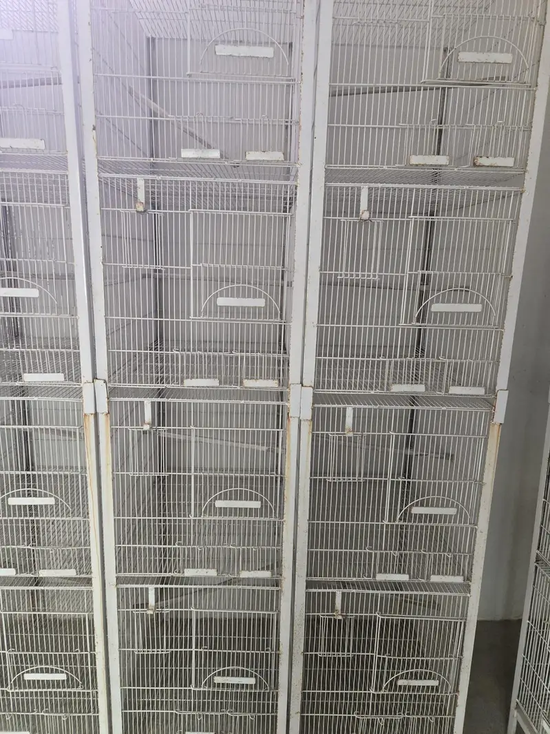 Cages — photo 4