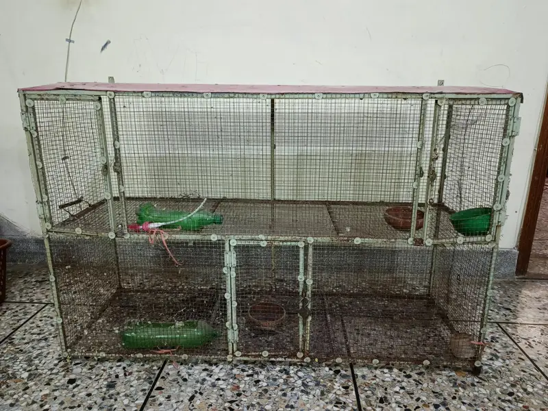 birds/hens cage double story — photo 2