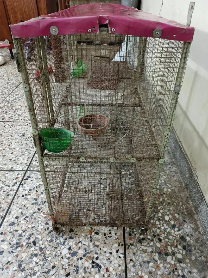 birds/hens cage double story — photo 3