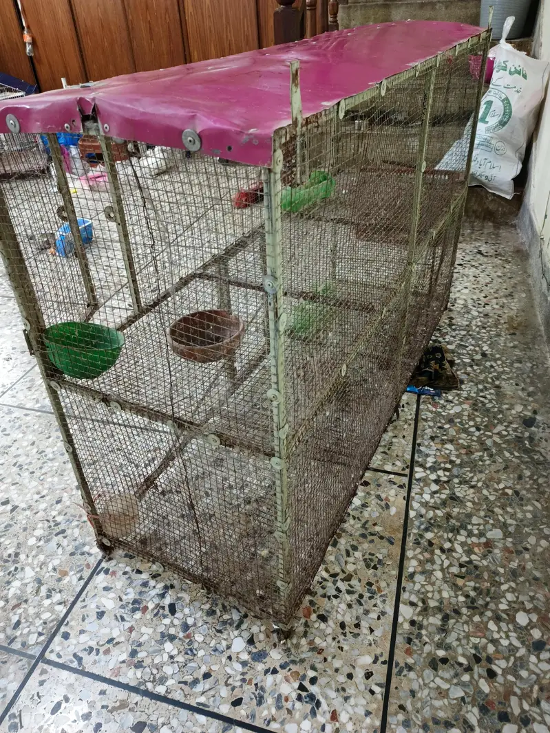 birds/hens cage double story — photo 4