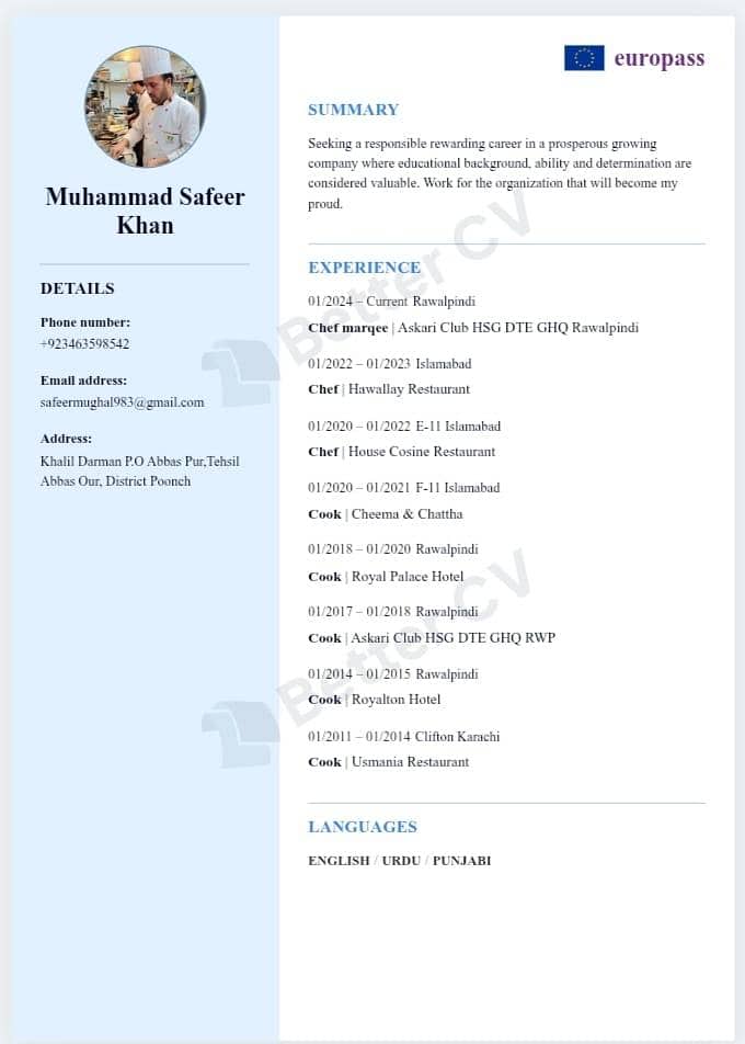 Pakistani cheif 0