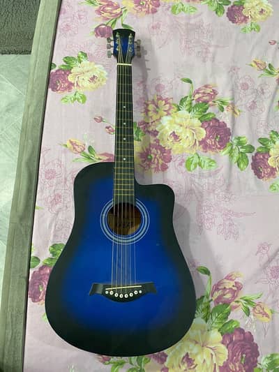 GWS-08 Premium Acoustic Guitar ( Best for Beginners )