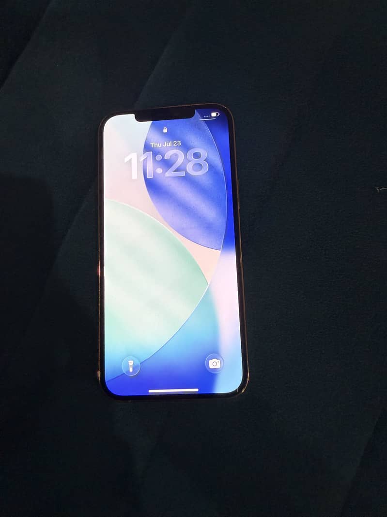 12 pro max 4