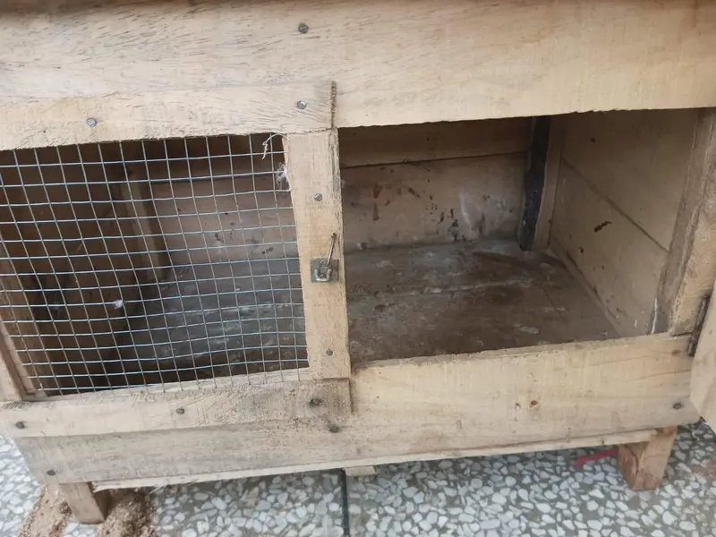 Hen cage for sale — photo 6