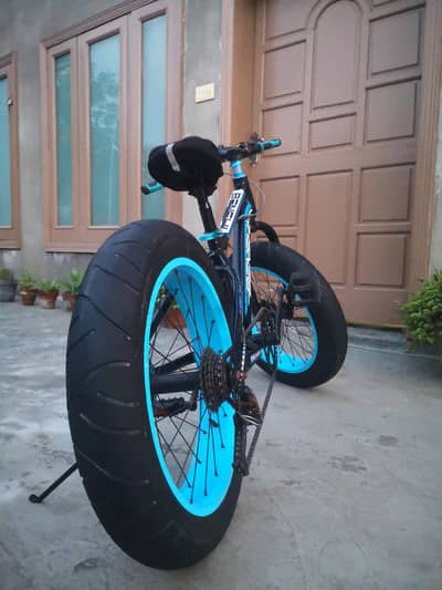 Imported BENSHI Fat Bike 20" Size.