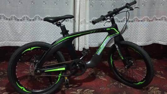 Mountain bicycle