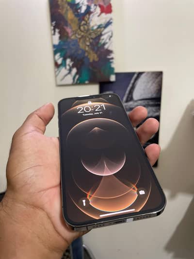 Apple iPhone 12 Pro Max