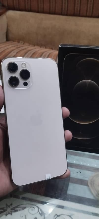 iPhone 12 Pro Max pta