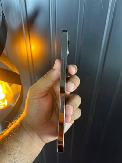 Apple iPhone 12 Pro Max