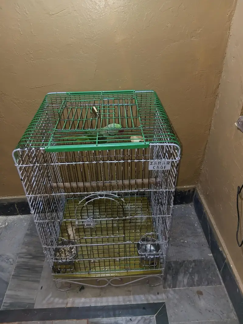 hand team talking very freindly with cage — photo 5