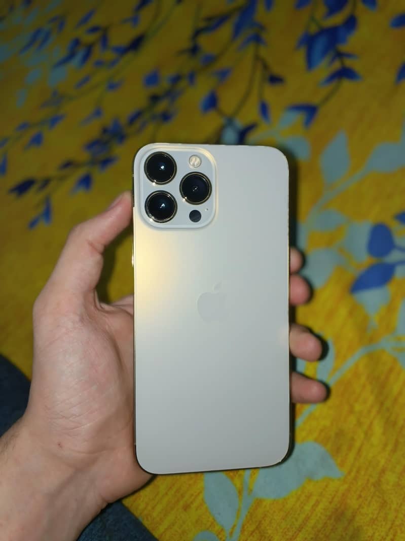 Apple iPhone 13 Pro Max 0