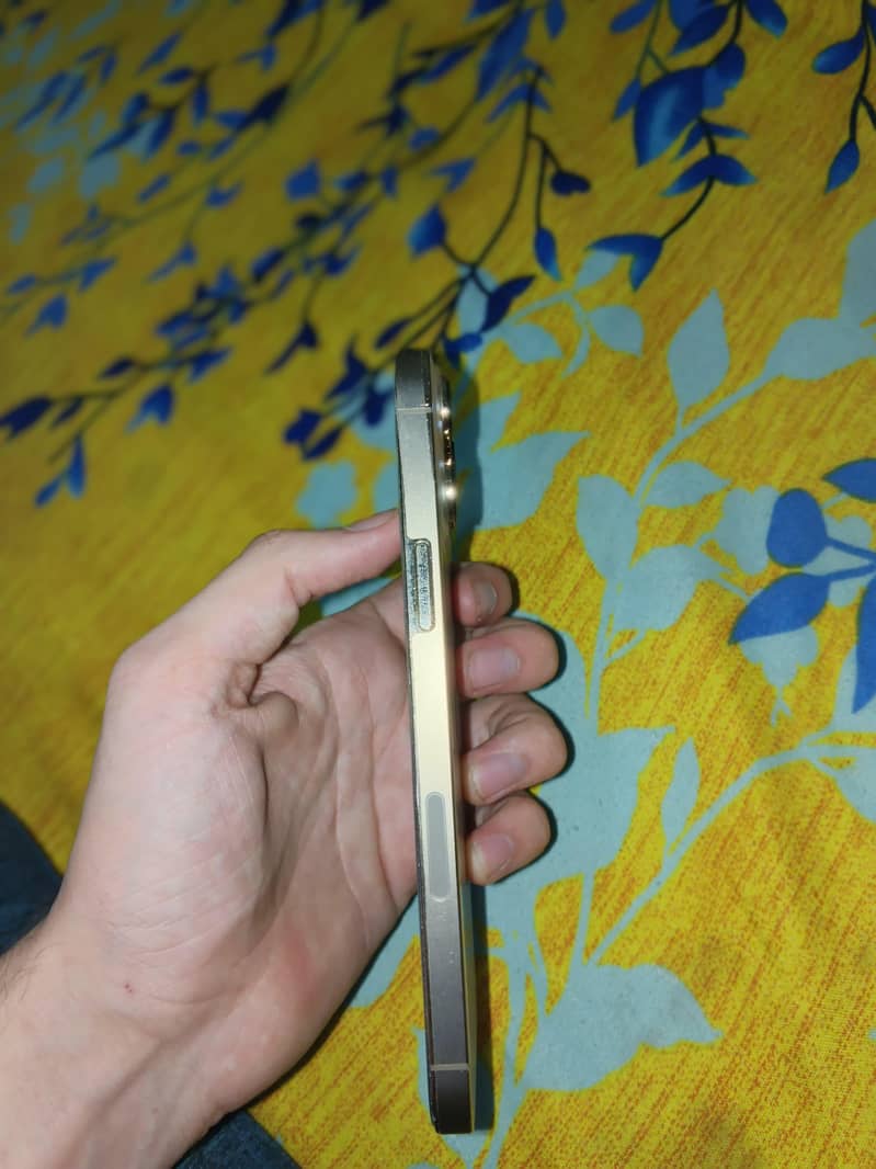 Apple iPhone 13 Pro Max 2