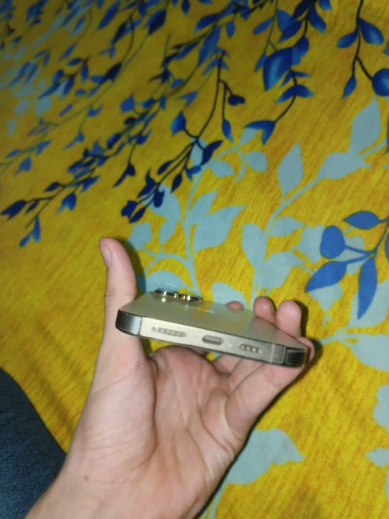 Apple iPhone 13 Pro Max 3