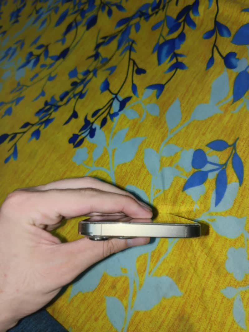 Apple iPhone 13 Pro Max 4