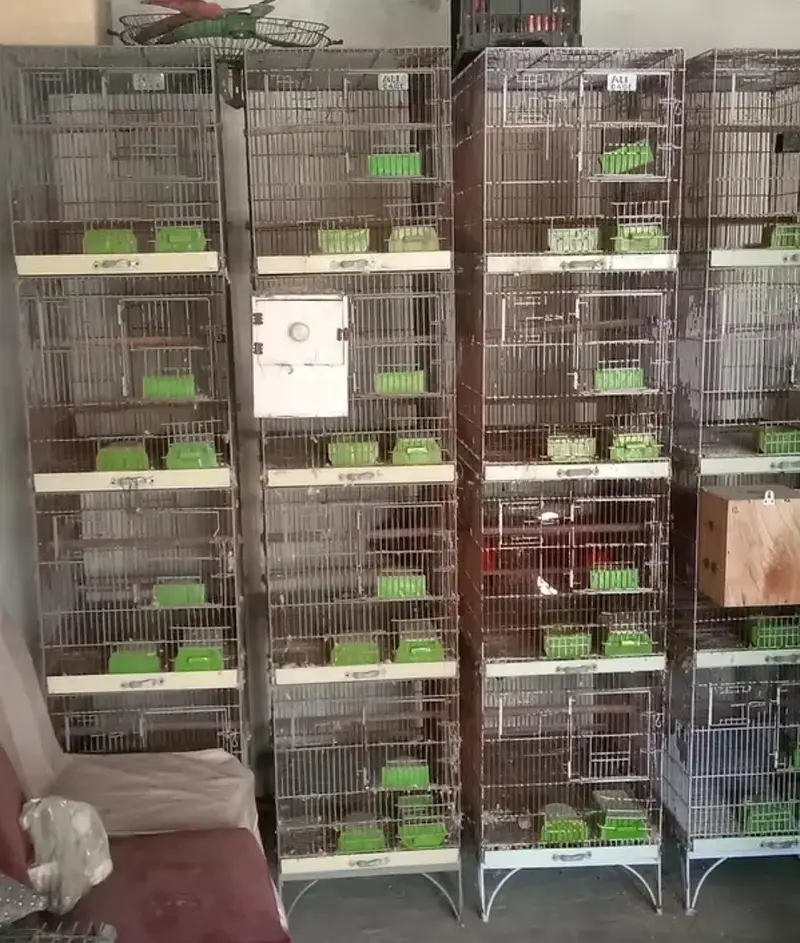 birds Cage / Birds cage/Hens Cage/Pinjra /Iron Cage