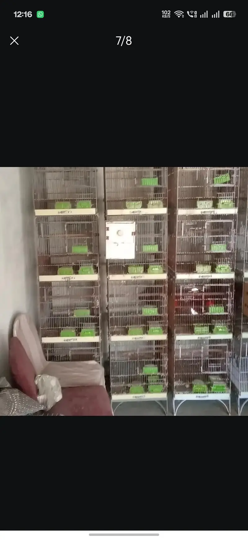 birds Cage / Birds cage/Hens Cage/Pinjra /Iron Cage — photo 3