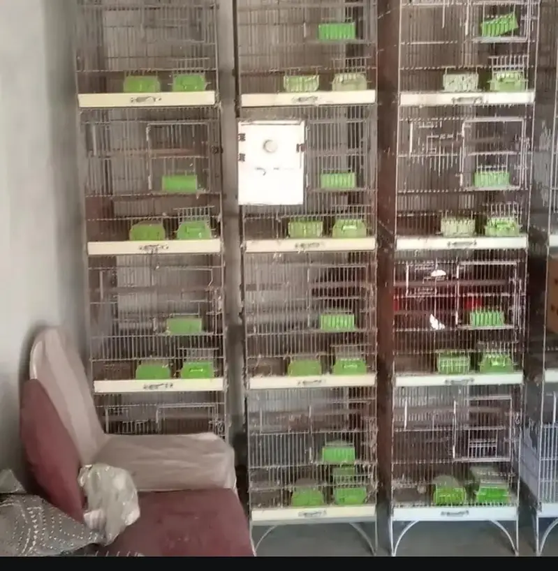 birds Cage / Birds cage/Hens Cage/Pinjra /Iron Cage — photo 4