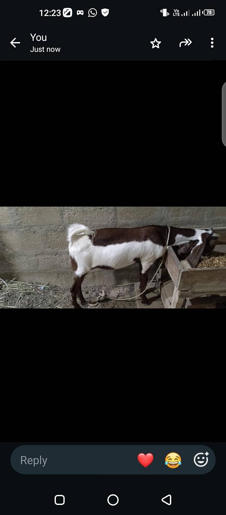 Bakra 0