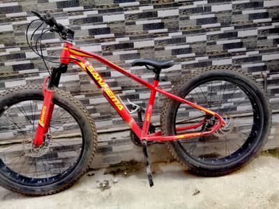 fat cycle 03329244582