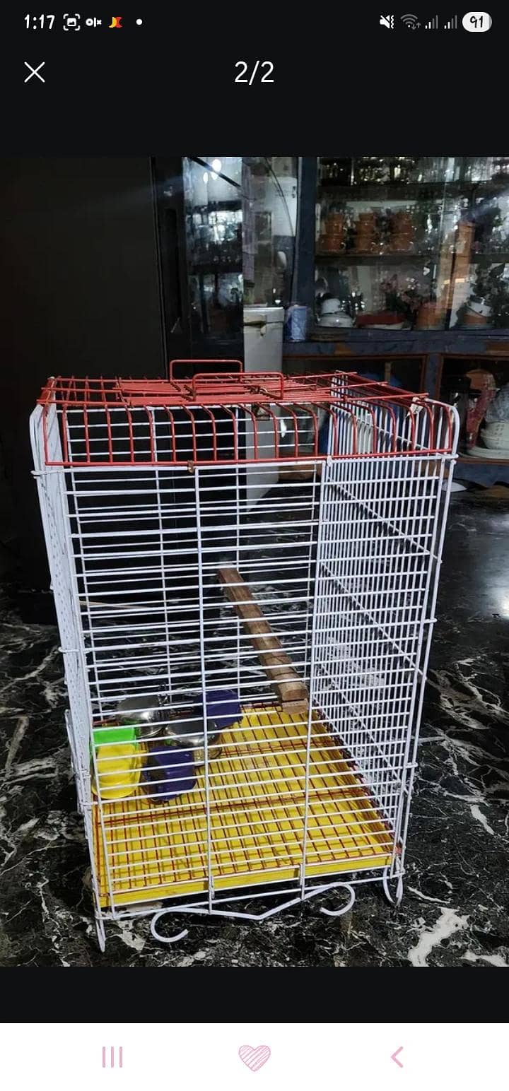 big cage 0
