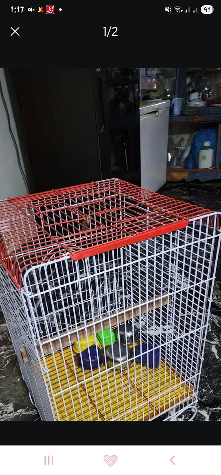 big cage 1