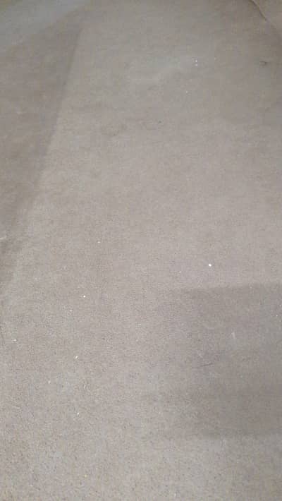 Brown Carpet for sale