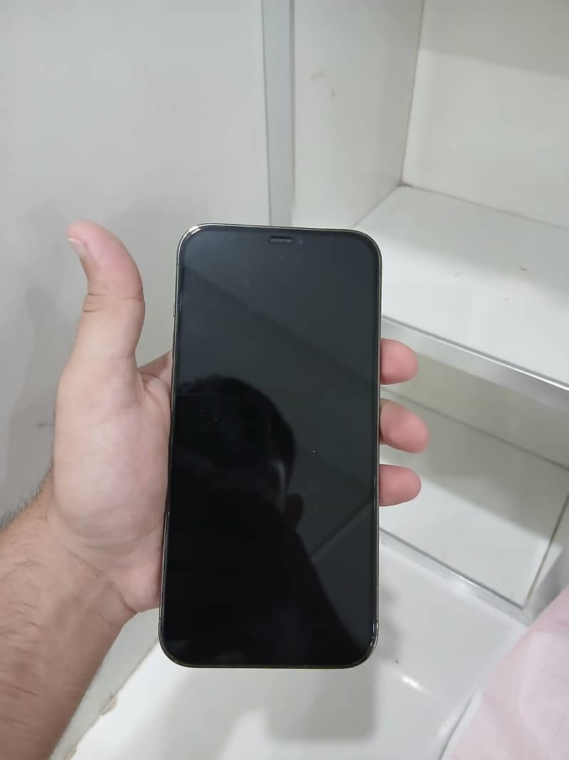 iPhone 12 Pro Max 0