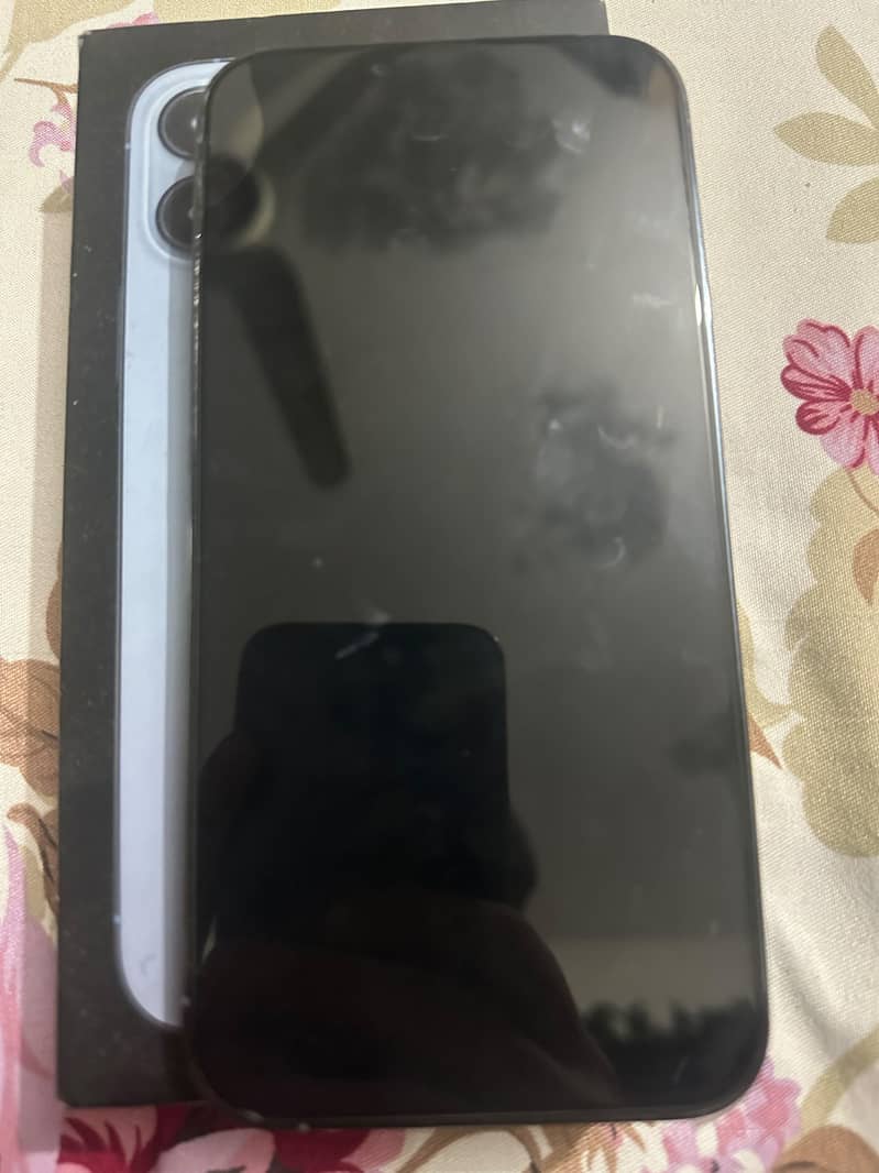 iPhone 13 pro max 1