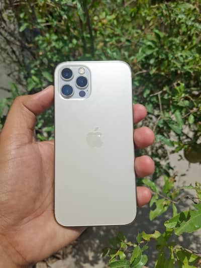 iPhone 12 pro PTA approved