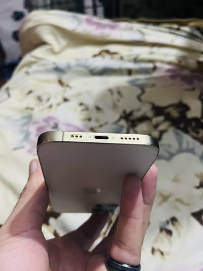 Apple iPhone 12 Pro