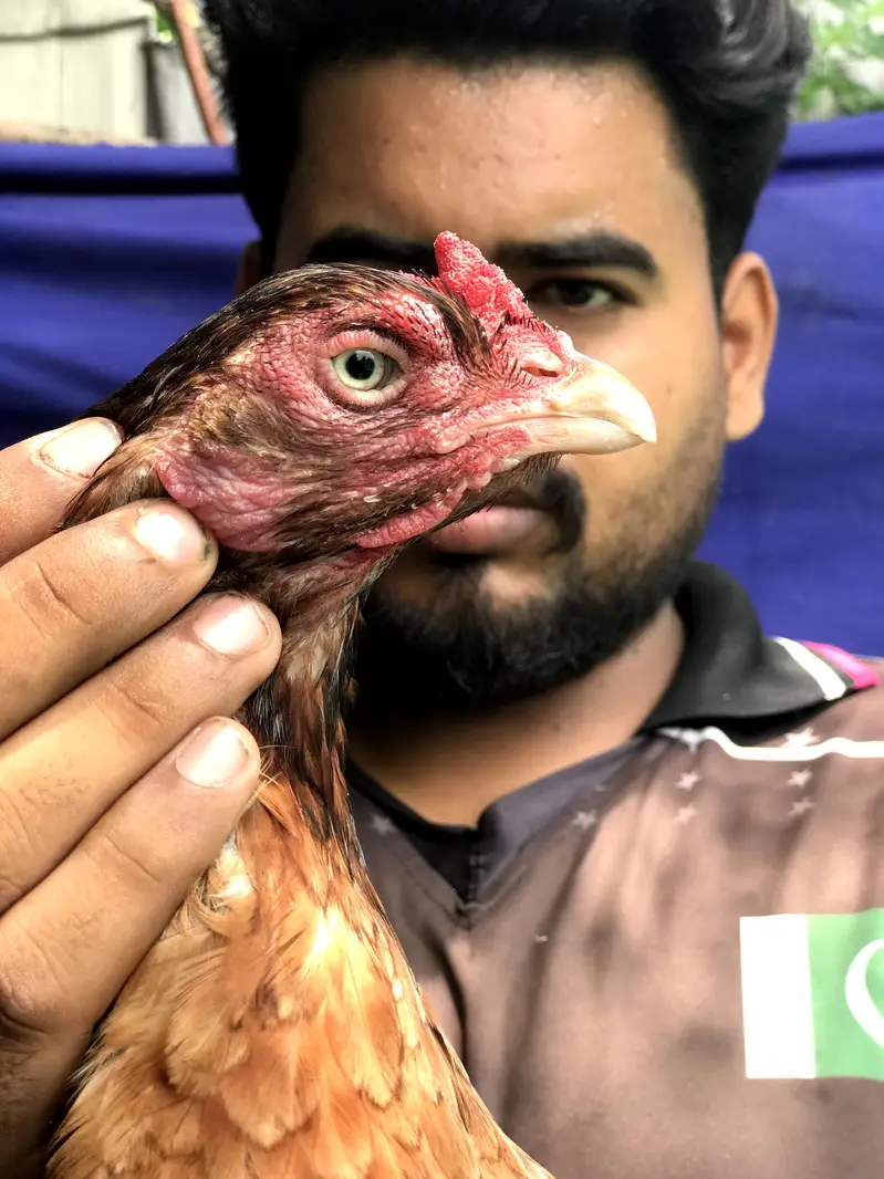 3 high Quality maadiya available hai — photo 8