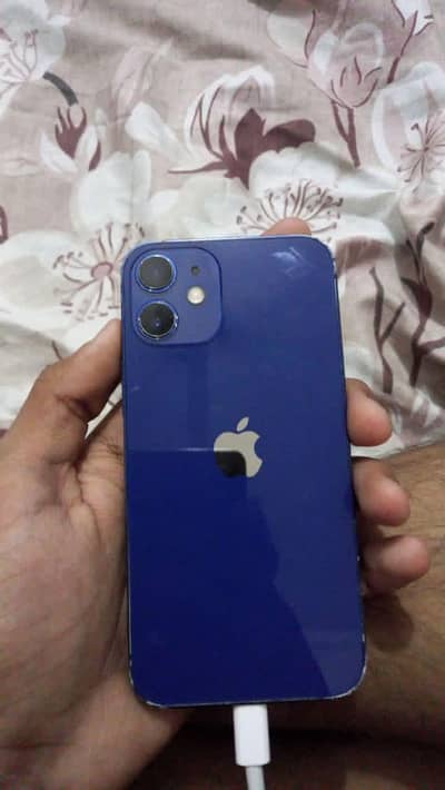 Apple iPhone 12 mini