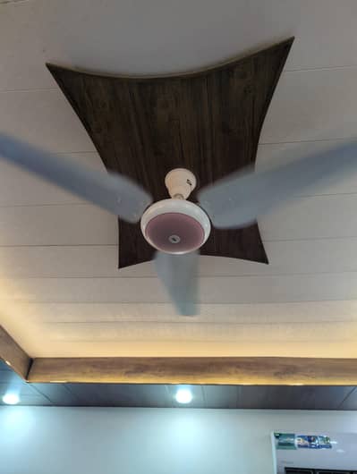 Sk Fan Like New