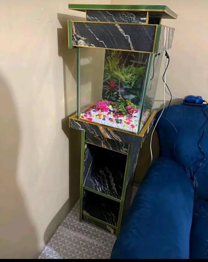 Fish and aquarium Munaseeb price 03104016778 — photo 6
