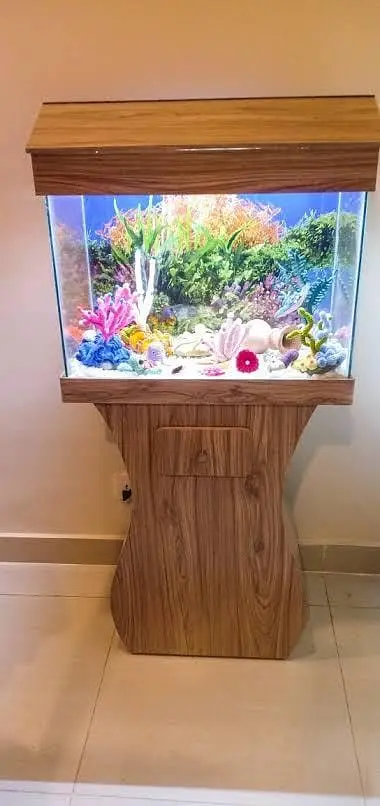 Fish and aquarium Munseeb price 03104016778 — photo 3