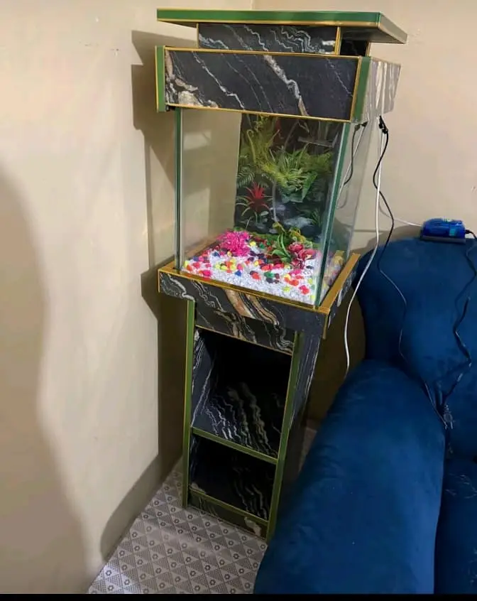 Fish and aquarium Munseeb price 03104016778 — photo 4