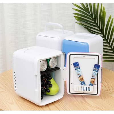 mini room or car fridge
