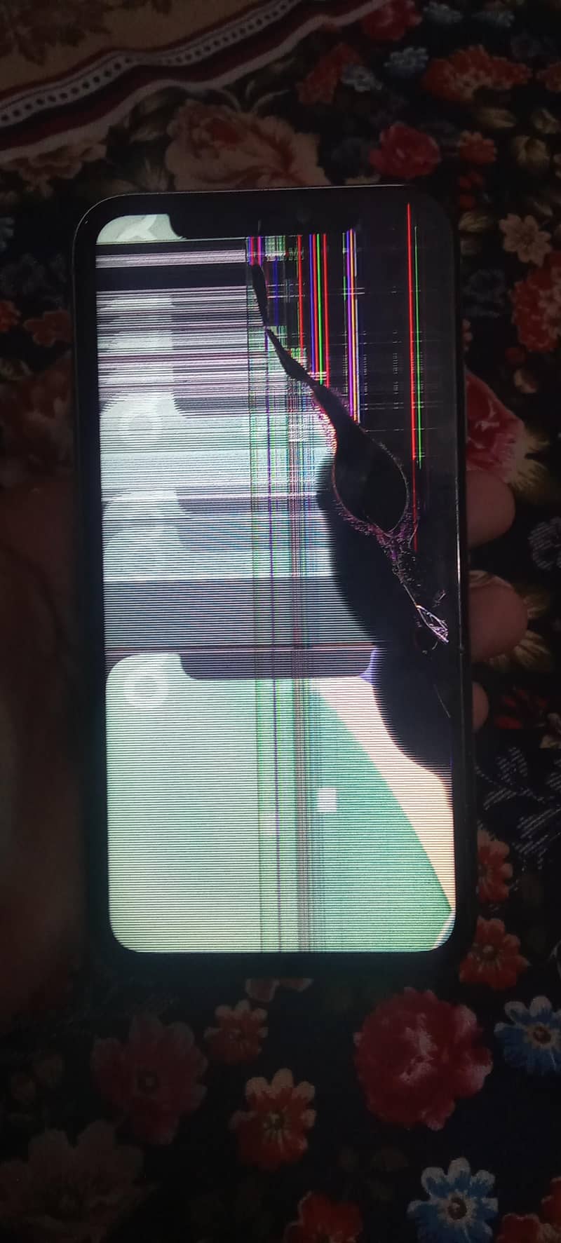 iPhone 11 2