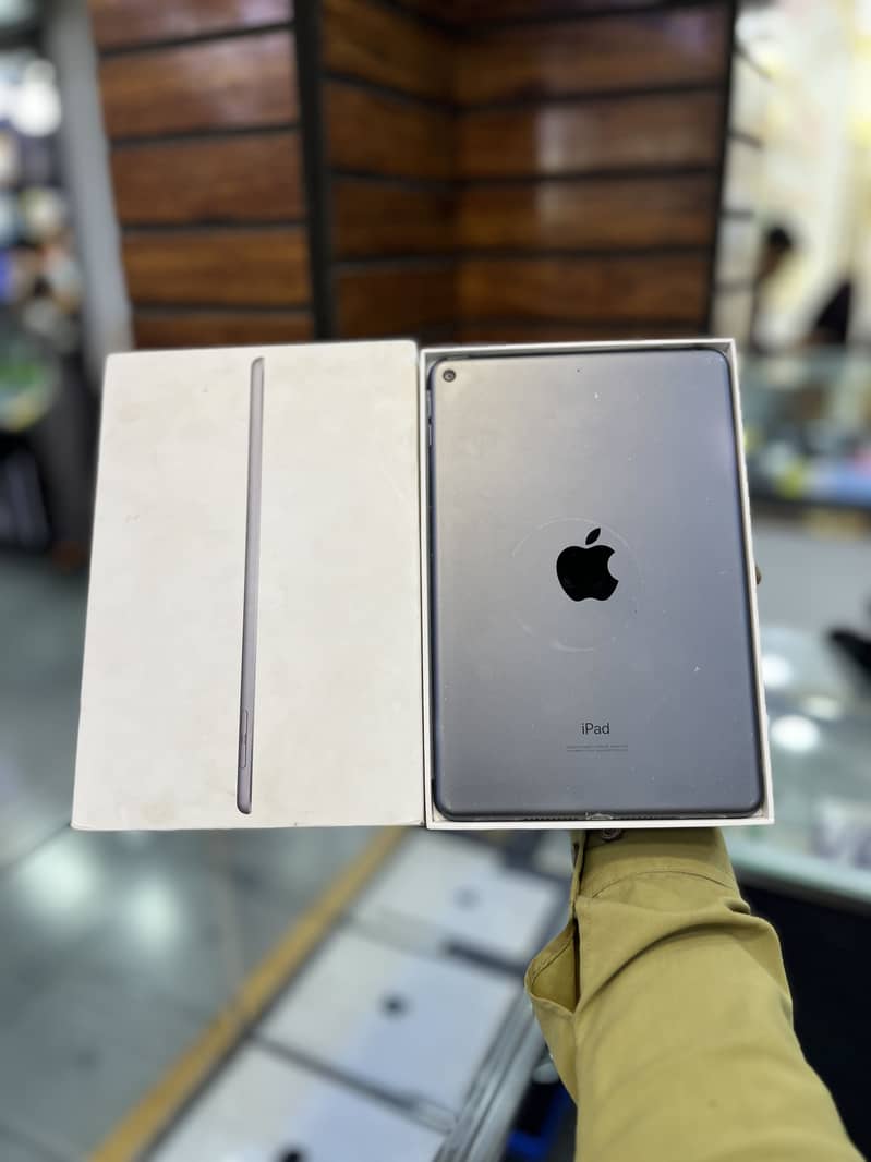 ipad mini 5 0
