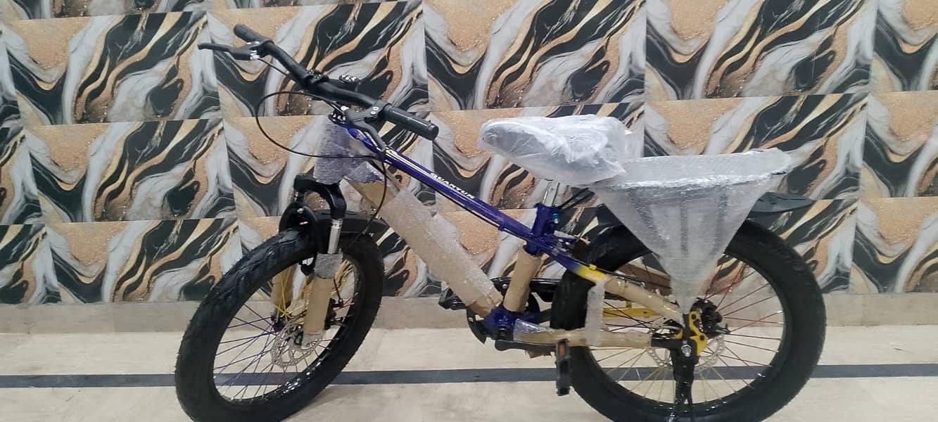 cycle 0