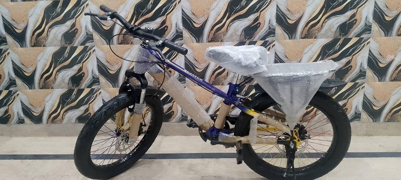 cycle 1