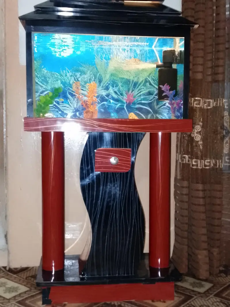 acoriyam — photo 4