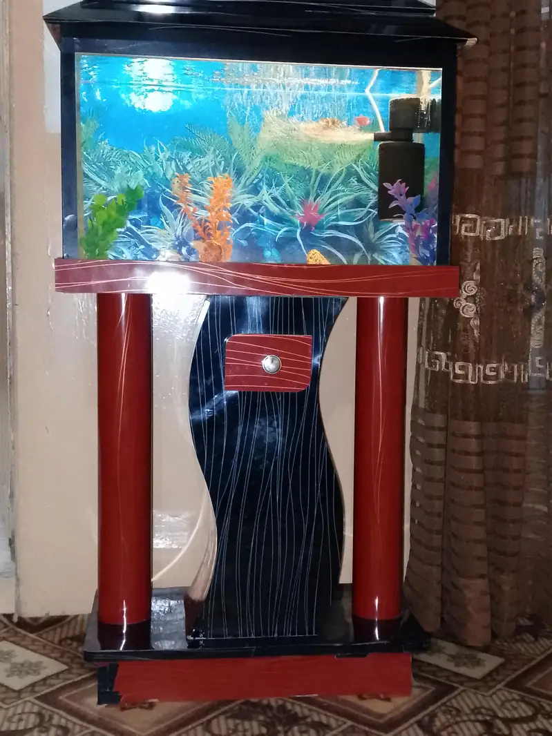 acoriyam — photo 5