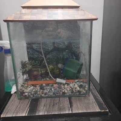 Fish acquirim