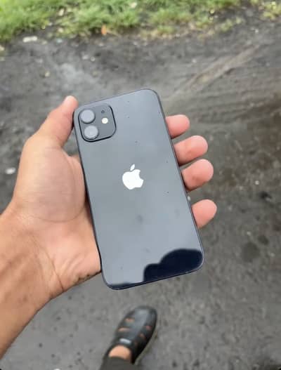 iPhone 12 (mint condition)