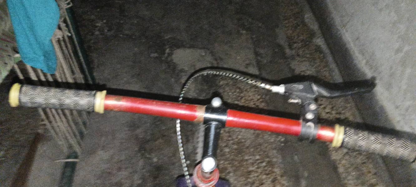 Bicycle 1