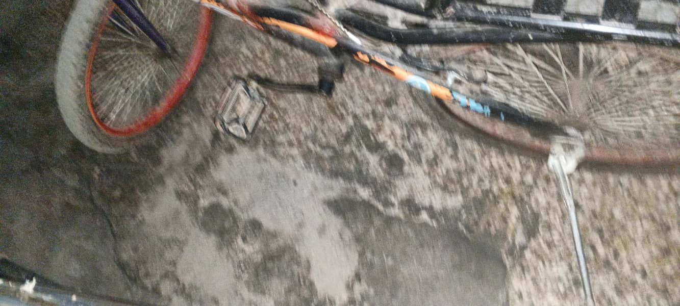 Bicycle 2